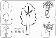 简笔画橡胶树怎么画