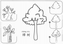 樟树简单画怎么画