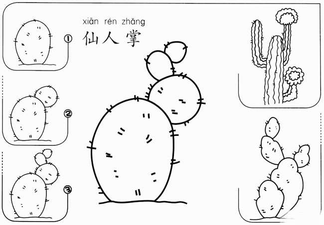 【仙人掌怎么画】幼儿园仙人掌怎么画步骤图教程