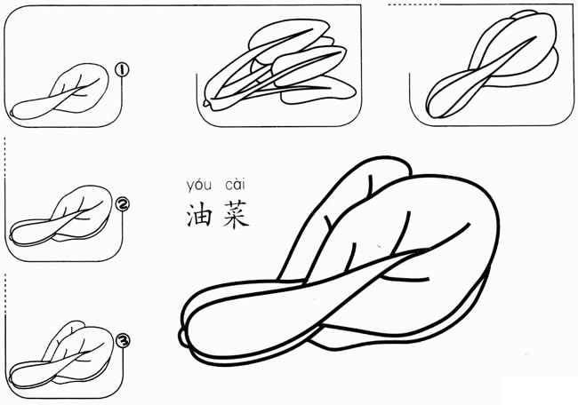 【油菜怎么画】幼儿油菜怎么画简笔画步骤图教程