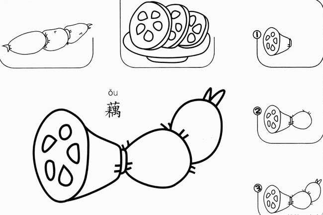 幼儿莲藕怎么画简笔画图片大全