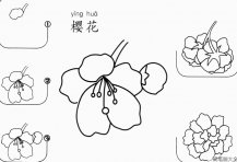 简单的樱花怎么画好看