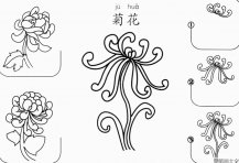 怎样画菊花简笔画儿童画法