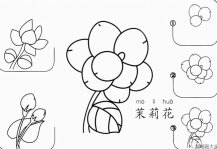 茉莉花怎么画简笔画步骤图解