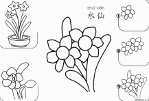 水仙怎么画简笔画