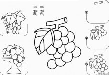 葡萄怎么画简笔画