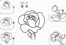 蔷薇花怎么画简笔画步骤