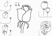 玫瑰花怎么画简笔画图片