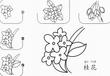 桂花怎么画简笔画图片