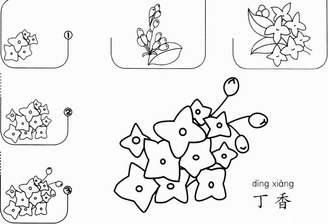 丁香花怎么画简笔画图片