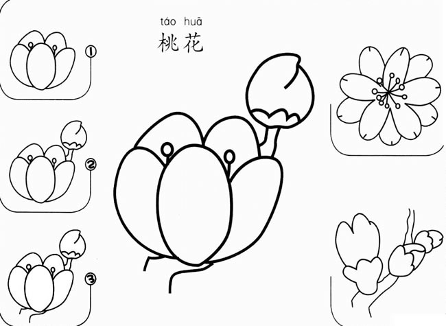 桃花怎么画简笔画图片