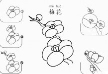 梅花怎么画简笔画图片