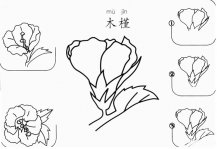 木槿怎么画简笔画图片