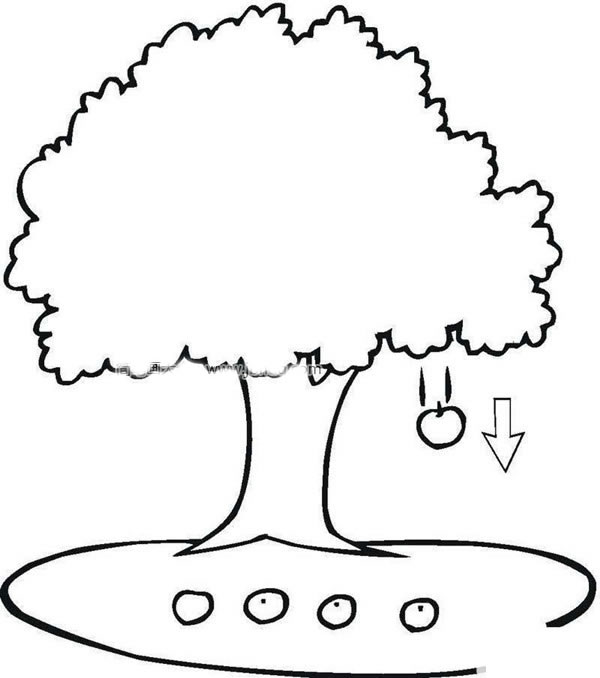 苹果树简笔画图片