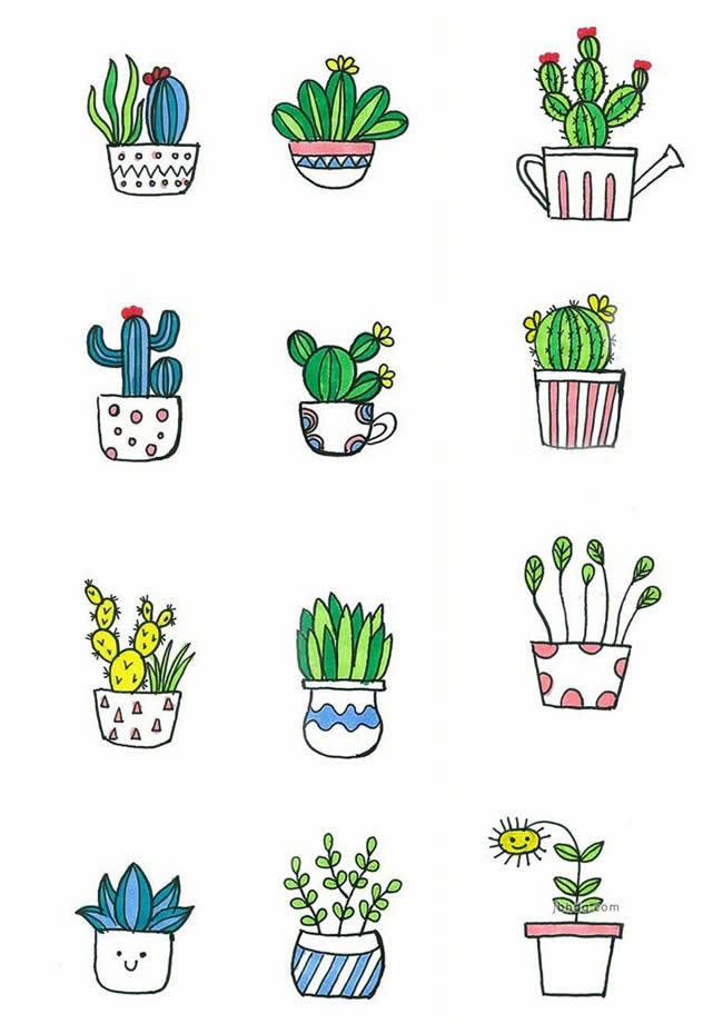 盆栽植物彩色简笔画
