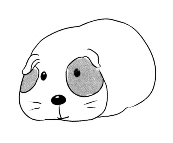 仓鼠
