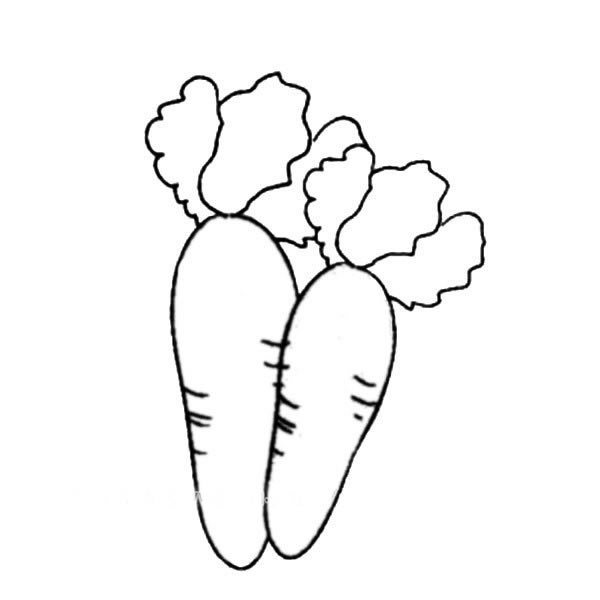 一对胡萝卜简笔画