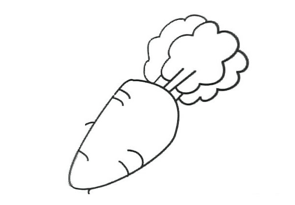 新鲜的胡萝卜简笔画