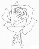 简笔画玫瑰花的简单画法图片