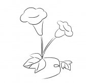 简单的喇叭花简笔画