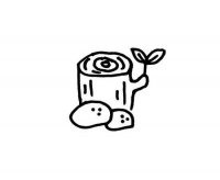 长新芽的树桩简笔画图片