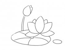 绽放的荷花简笔画