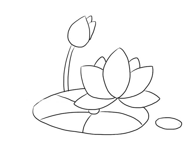 绽放的荷花简笔画图片