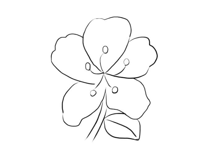 漂亮的杜鹃花图片