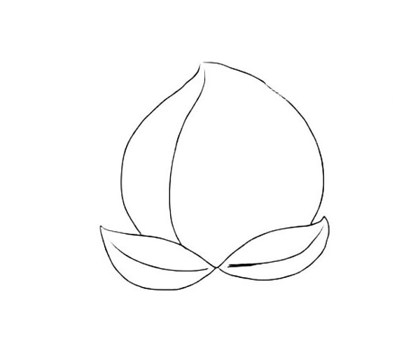 水蜜桃简笔画图片