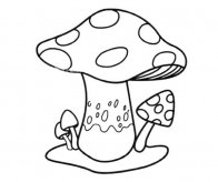 大蘑菇小蘑菇简笔画图片