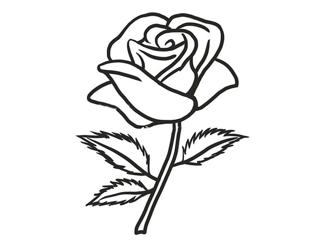 漂亮的红玫瑰简笔画图片_玫瑰花的简单画法
