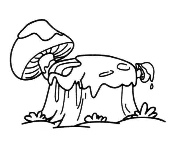 长着蘑菇的树桩简笔画图片 长着蘑菇的树桩怎么画
