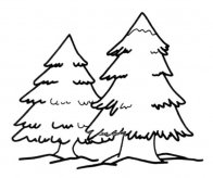 两颗松树简笔画