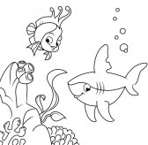 海底世界简笔画之珊瑚鱼和鲨鱼