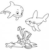 海底世界简笔画之可爱的海豚和鲨鱼