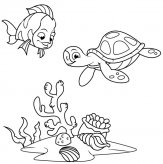 海底世界简笔画之珊瑚鱼和海龟