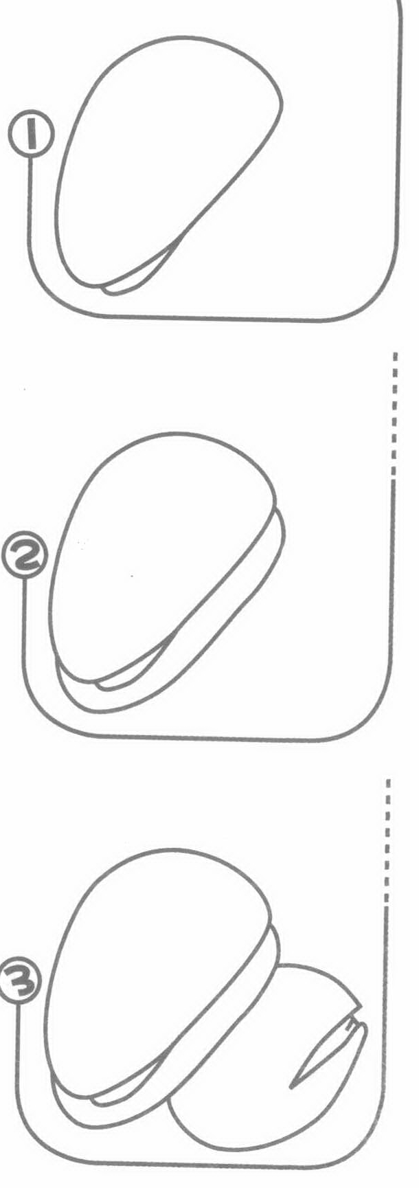 松子简笔画