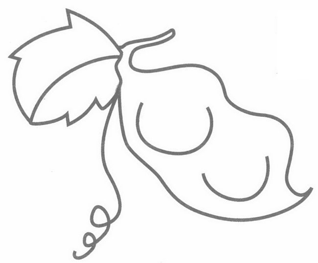 扁豆简笔画