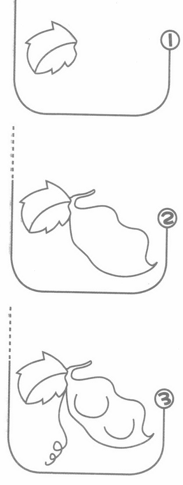 扁豆简笔画