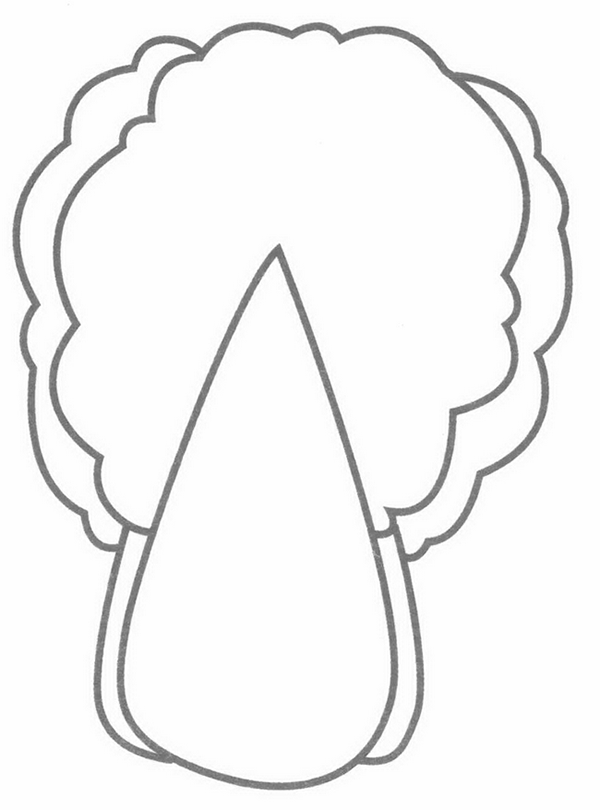 大白菜简笔画