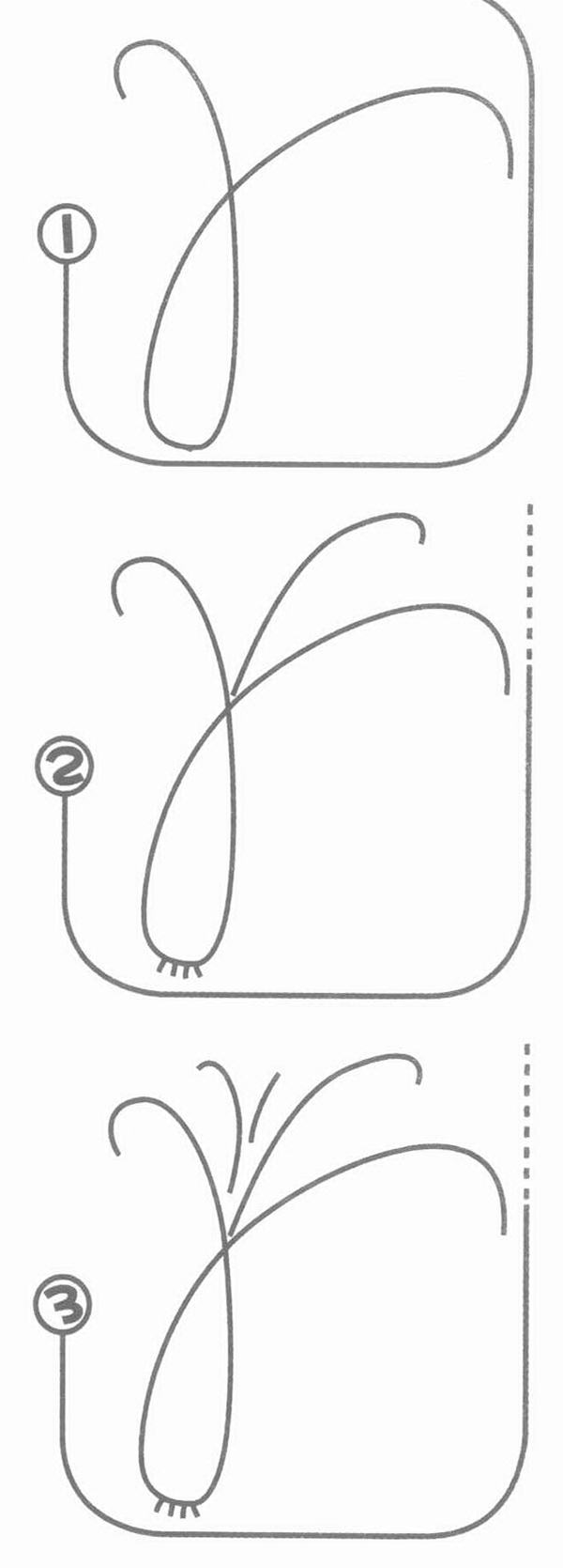 葱的简笔画