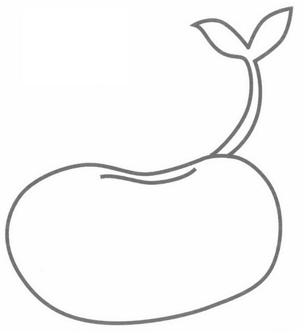 豆芽简笔画