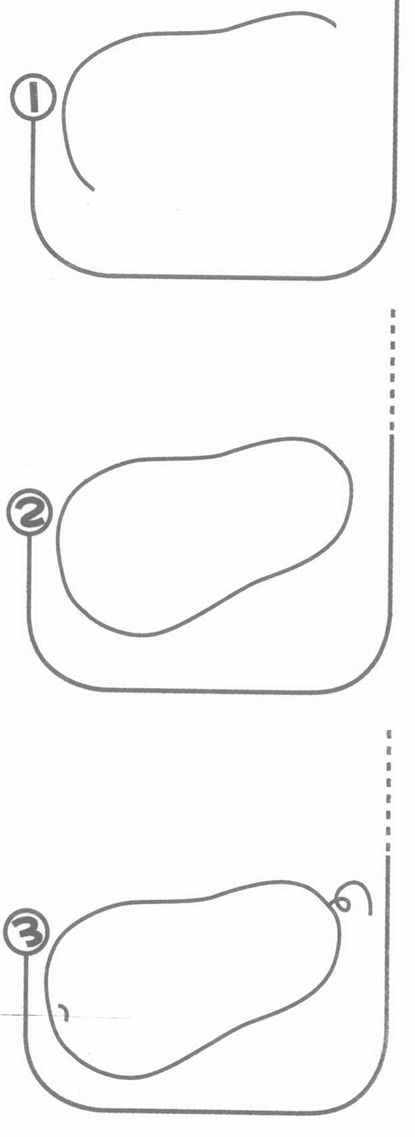 冬瓜简笔画