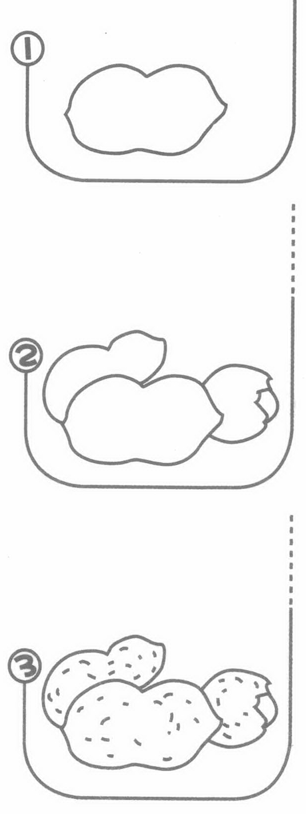 花生简笔画