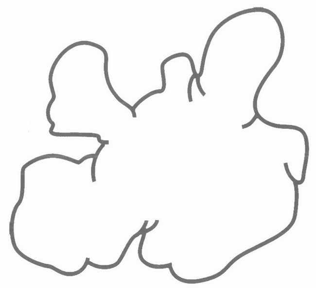 生姜简笔画