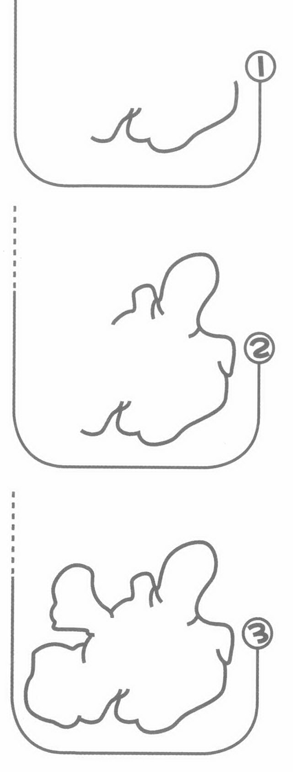 生姜简笔画
