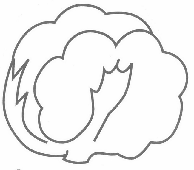 卷心菜简笔画