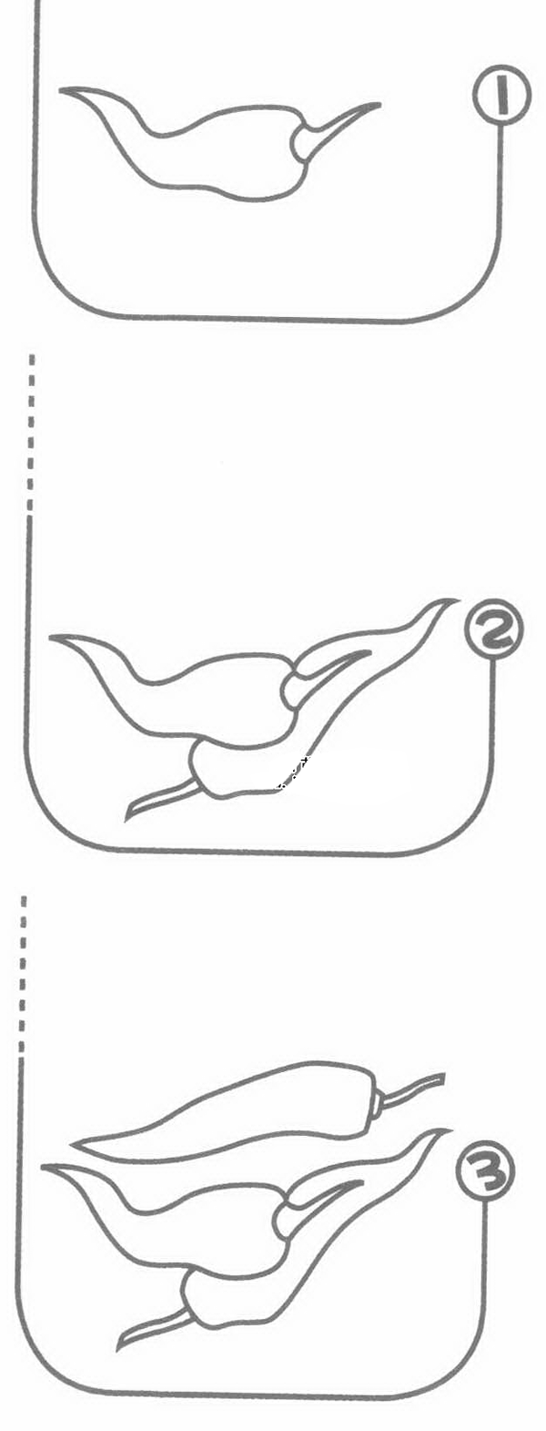 辣椒简笔画