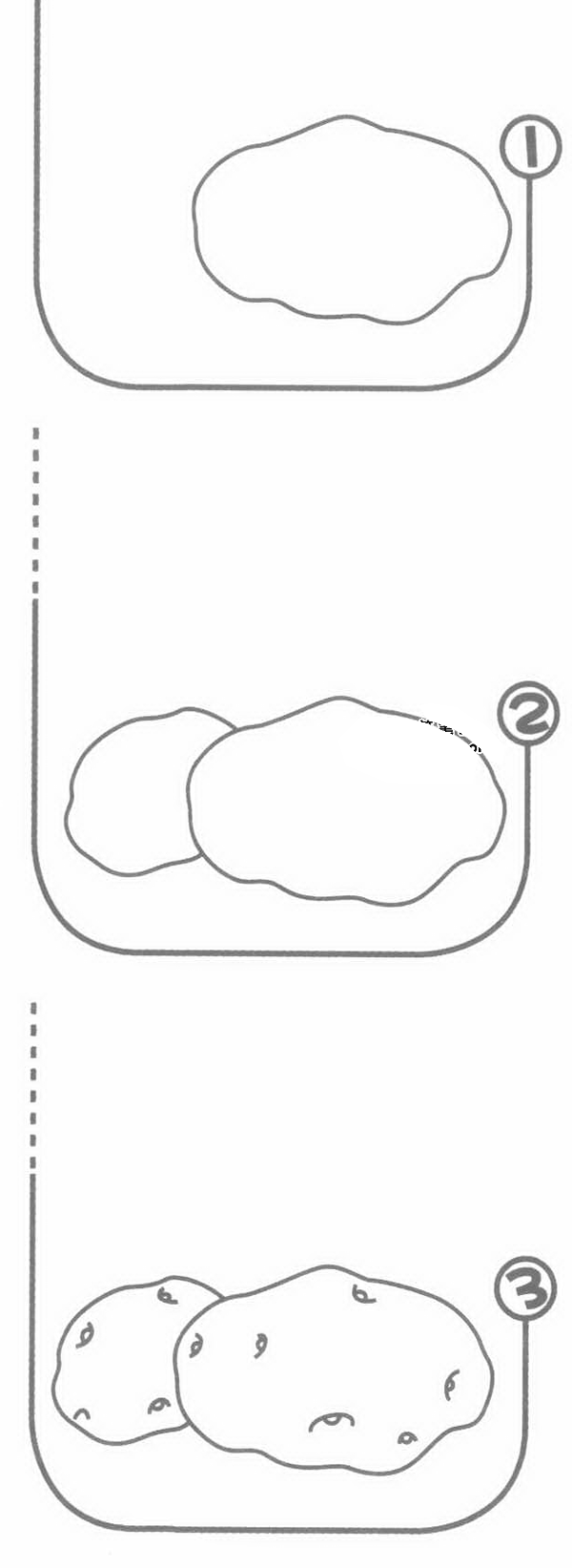 马铃薯简笔画