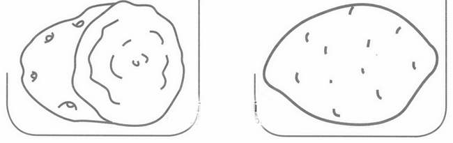 马铃薯简笔画